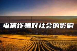 电信诈骗对社会的影响-允道刑事律师